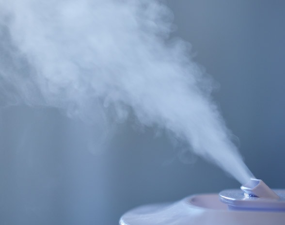 食品工場の写真